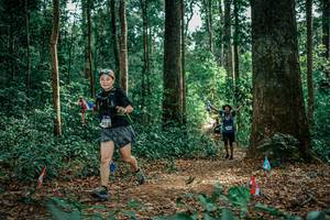 BIB: 
                            <button type="button" onclick="openModal(26135661)" class="btn btn-primary btn-sm float-right btn-popup" data-toggle="modal" data-target=".modal-high-quality">
                        <i class="fas fa-shopping-cart"></i> Add to Cart
                    </button>
                                            <button type="button" onclick="isThisMe(26135661, true)" class="btn btn-success btn-sm float-right btn-popup btn-isme hidden" data-toggle="tooltip" data-placement="bottom" title="นี่คือรูปของคุณใช่ไหม คลิกที่นี่เพื่อเอาเข้าอัลบั้ม">
                        <i class="fas fa-plus"></i> Add to album
                    </button>
                    <button type="button" onclick="isThisMe(26135661, false)" class="btn btn-warning btn-sm float-right btn-popup btn-isnotme hidden">
                        <i class="fas fa-ban"></i> Remove from album
                    </button>